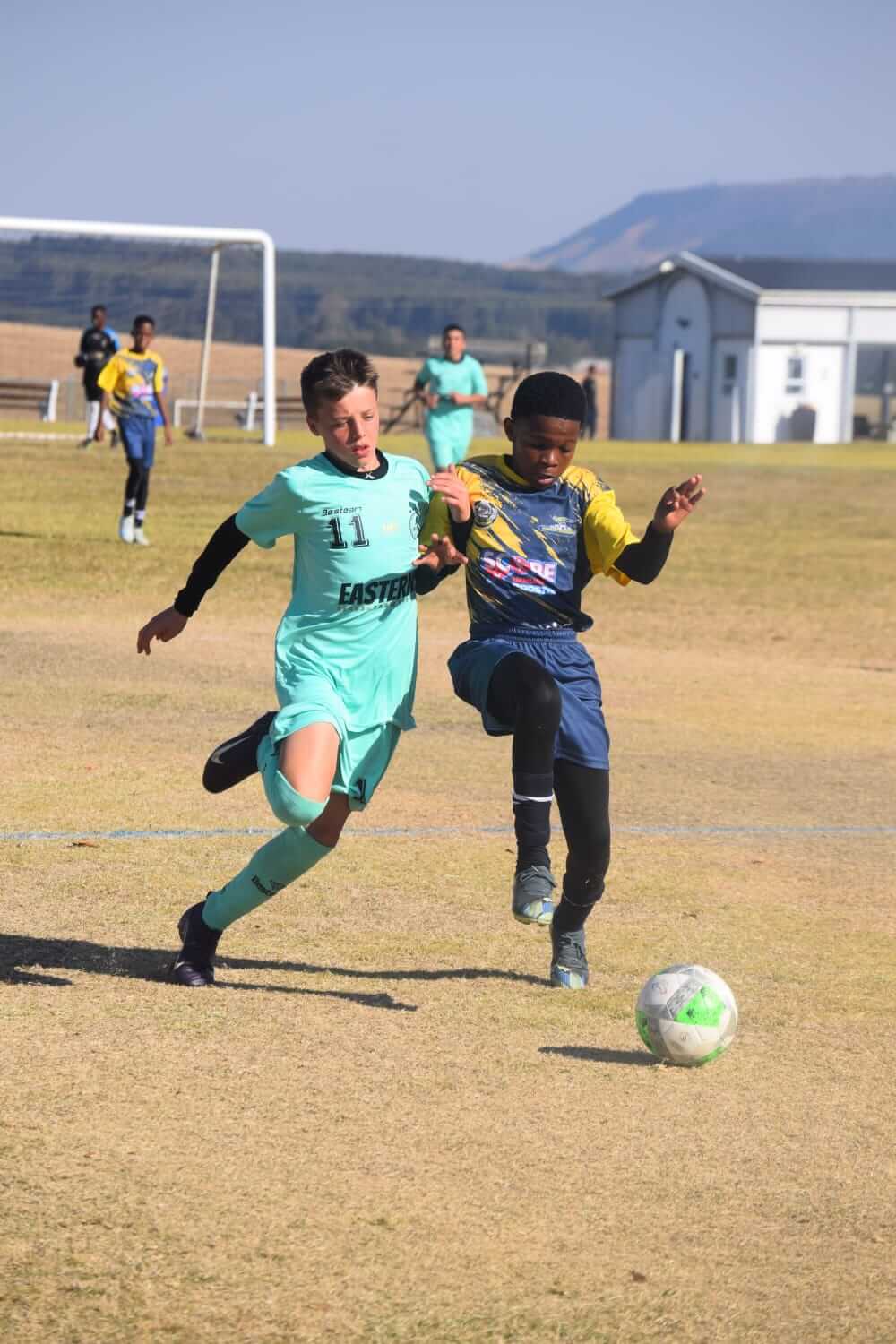 Bill Stewart Photo 7