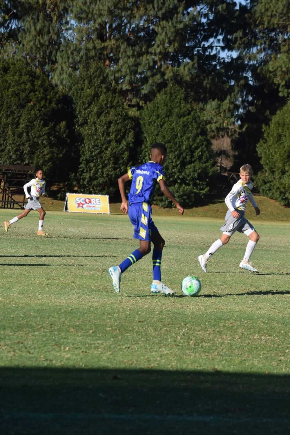 Bill Stewart Photo 9